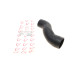 Патрубок інтеркулера BMW 1 (F20/F21) 11- N13