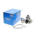 Помпа води BMW 5 (E60/E61)/6 (E63/E64)/7 (E65/E66/E67)/X5 (E53) 01-10 N62