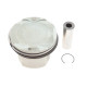 Поршень BMW 5 (F07/F10/F11)/6 (F12/F13)/7 (F01-F04)/X5 (E70) 08-18 (89.00mm/STD) N63