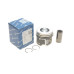 Поршень BMW 3 (E90-93)/5 (E60/E61)/X3 (E83) 2.0D 04-13 (84.25mm/+0.25)