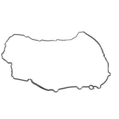 Прокладка кришки клапанів BMW 3 (G20/G80/G28)/5 (G30/F90)/7 (G11/G12) (к-кт) B57 D30, (M50d)