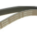 Ремінь генератора BMW 1 (F20/F21)/3 (F30/F80) 1.6i 11-/Honda Civic VII/FR-V 1.7i 01-