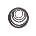 Пружина (передня) BMW 7 (E65/E66/E67) 730d/735i,Li/745i,Li 01-08 (седан)