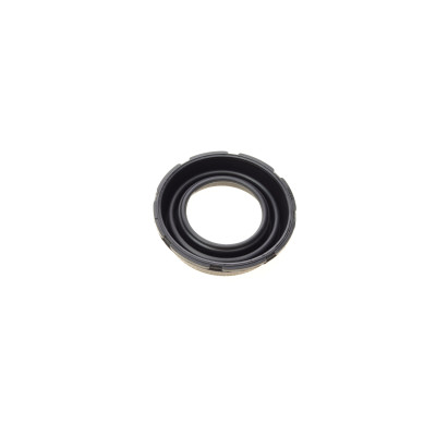 Ремкомплект супорта (заднього) BMW 3 (E46) 96-03 (d=40mm) (+поршень/направляюча) (Ate)