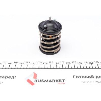 Термостат BMW 1 (F20)/X5 (E70)/5 (F10) 1.6-3.0D 04-