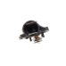 Термостат BMW 3 (E46/E90) 01-12/5 (E60) 02-10/X5 (E53/E70) 03-13 M57/M47 (88°C)