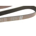 Ремінь генератора BMW 5 (F10/F11)/X3 (F25) 09-13 (N52/N53) (8PK1784)