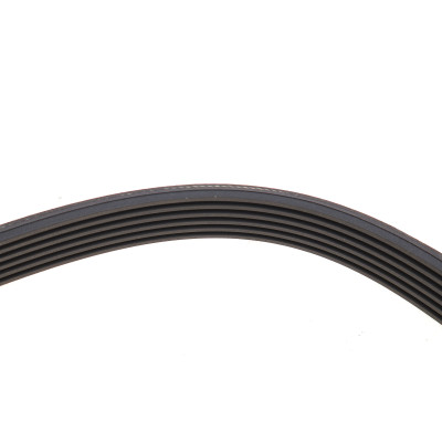 Ремінь генератора BMW X5/Ford Focus 1.4/1.6 16V 98- (6PK1892)