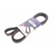 Ремінь генератора BMW X5/Ford Focus 1.4/1.6 16V 98- (6PK1892) Ремінь генератора BMW X5/Ford Focus 1.4/1.6 16V 98- (6PK1892)