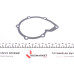 Помпа води BMW 5 (E12/E28/E34)/6 (E24)/7 (E23/E32) 2.5-3.6 77-95