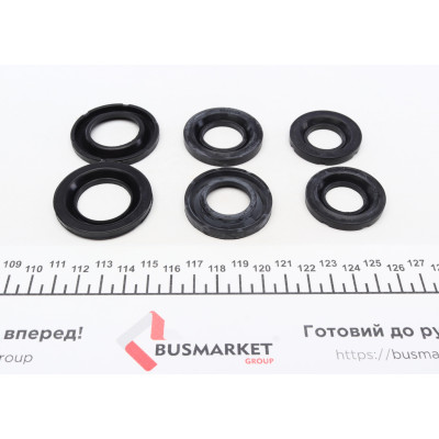 Ремкомплект супорта (переднього) BMW 3 (E90-E93) 06-13 (d=27/32mm) (+6 поршнів) (Brembo)