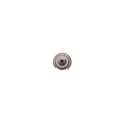 Гідрокомпенсатор BMW 1 (F20/F21)/3 (F30/F31/F80) 1.6 11- N13 Гідрокомпенсатор BMW 1 (F20/F21)/3 (F30/F31/F80) 1.6 11- N13
