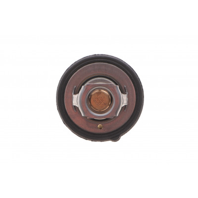 Термостат Hyundai Accent/Elantra/Kia Rio/Ceed/Sportage 1.0-2.0 06- (82°C) Термостат Hyundai Accent/Elantra/Kia Rio/Ceed/Sportage 1.0-2.0 06- (82°C)