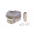 Поршень BMW 3 (F30/F80)/5 (F10) 11-18 (84.00mm/STD) N20 B20 Поршень BMW 3 (F30/F80)/5 (F10) 11-18 (84.00mm/STD) N20 B20