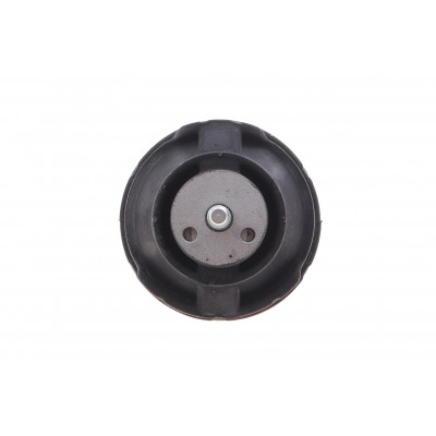 Подушка двигуна (R) BMW 3 (E46) 1.6-1.8/1.8-2.0d 01-07 Подушка двигуна (R) BMW 3 (E46) 1.6-1.8/1.8-2.0d 01-07