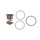 Термостат BMW 5 (G30/F90) 3.0d (B57) 16-20 (91°C) Термостат BMW 5 (G30/F90) 3.0d (B57) 16-20 (91°C)