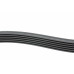 Ремінь генератора Audi/BMW/Chevrolet/MB/Opel (6PK1875)
