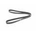 Ремінь генератора VW Golf/BMW/Ford/Opel (6PK1540) Ремінь генератора VW Golf/BMW/Ford/Opel (6PK1540)