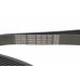 Ремінь генератора BMW 5 (G30/F90)/X3 (G01/F97) 16- B47 (8PK1162) Ремінь генератора BMW 5 (G30/F90)/X3 (G01/F97) 16- B47 (8PK1162)
