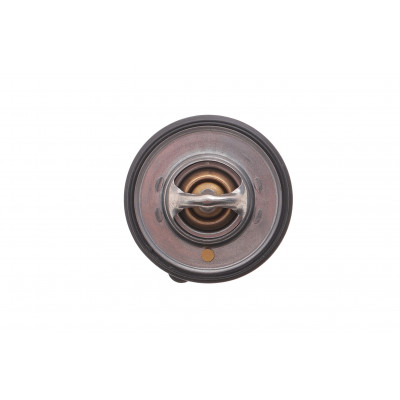 Термостат Hyundai Accent/Elantra/Kia Rio/Ceed/Sportage 1.0-2.0 06- (82°C) Термостат Hyundai Accent/Elantra/Kia Rio/Ceed/Sportage 1.0-2.0 06- (82°C)