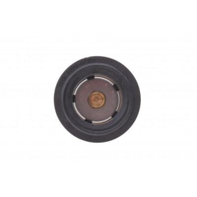 Термостат BMW 5 (G30/F90) 3.0d (B57) 16-20 (91°C) Термостат BMW 5 (G30/F90) 3.0d (B57) 16-20 (91°C)