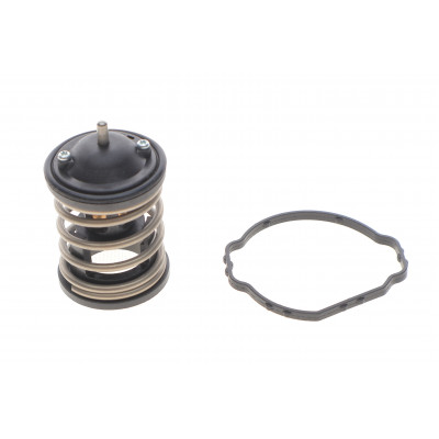 Термостат BMW 3 (F30/F80)/5 (F10/F07)/X5 (F15/F85) (N47/N57) 11-18/Toyota Auris/Avensis/Rav4 1.6/2.0 15-18 (87°C) Термостат BMW 3 (F30/F80)/5 (F10/F07)/X5 (F15/F85) (N47/N57) 11-18/Toyota Auris/Avensis/Rav4 1.6/2.0 15-18 (87°C)
