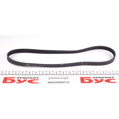 Ремінь генератора Honda Civic VI/Nissan Primera 1.4-1.6 16V 94-01 (4PK800) Ремінь генератора Honda Civic VI/Nissan Primera 1.4-1.6 16V 94-01 (4PK800)