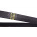Ремінь генератора Honda Civic VI/Nissan Primera 1.4-1.6 16V 94-01 (4PK800) Ремінь генератора Honda Civic VI/Nissan Primera 1.4-1.6 16V 94-01 (4PK800)