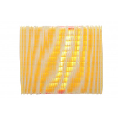 Фільтр повітряний BMW 1 (F20/F21)/3 (F30/F31)/4 (F32-F36) 1.5i/1.6i/2.0i N13/N20/N26/B38 11- Фільтр повітряний BMW 1 (F20/F21)/3 (F30/F31)/4 (F32-F36) 1.5i/1.6i/2.0i N13/N20/N26/B38 11-