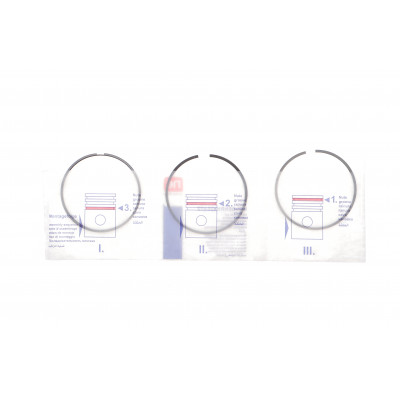 Кільця поршневі BMW X5 (F15/F85/G05/F95)/X6 (F16/F86/G06/F96) 14- (89.00mm/STD) (1.2-1.5-2) N63/S63 Кільця поршневі BMW X5 (F15/F85/G05/F95)/X6 (F16/F86/G06/F96) 14- (89.00mm/STD) (1.2-1.5-2) N63/S63