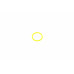 Прокладка термостата EGR BMW 3 (E36/E46)/5 (E60/E61) (19x2.5mm) (кільце) Прокладка термостата EGR BMW 3 (E36/E46)/5 (E60/E61) (19x2.5mm) (кільце)