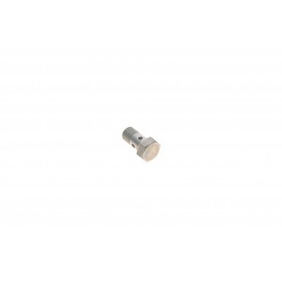 Болт турбіни (M10x1х19mm) BMW 5 (F10/F18)/X5 (F15/F85) 10- N47/B37/M51/M57