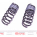 Комплект пружин (Pro-Kit) BMW M5 (F10) 10-16 (4 шт.) Комплект пружин (Pro-Kit) BMW M5 (F10) 10-16 (4 шт.)