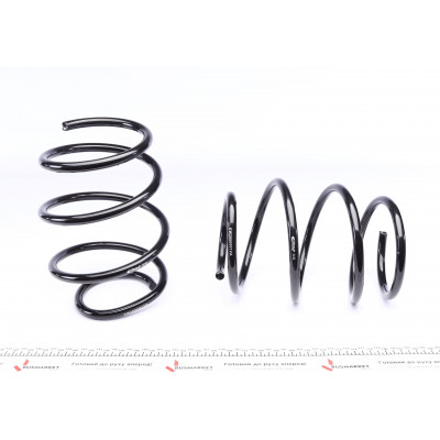 Комплект пружин (Pro-Kit) BMW 3 (E46) 00-07 (4 шт.) Комплект пружин (Pro-Kit) BMW 3 (E46) 00-07 (4 шт.)