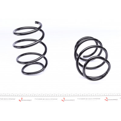 Комплект пружин (Pro-Kit) BMW 5 (E39) 95-03 (4 шт.) Комплект пружин (Pro-Kit) BMW 5 (E39) 95-03 (4 шт.)