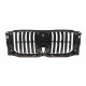 Решітка радіатора BMW X5 (G05/F95) 16- Решітка радіатора BMW X5 (G05/F95) 16-