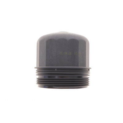 Кришка фільтра масляного BMW X5 (E70/F15/F85)/X6 (E71/E72/F16/F86) 09-19 N63/S63 Кришка фільтра масляного BMW X5 (E70/F15/F85)/X6 (E71/E72/F16/F86) 09-19 N63/S63