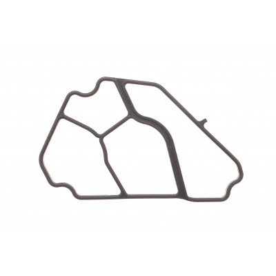 Прокладка корпуса фільтра масляного BMW 3 (E46/E91)/5 (E60/E61)/X3 (E83) 2.0D 98-12 M47 Прокладка корпуса фільтра масляного BMW 3 (E46/E91)/5 (E60/E61)/X3 (E83) 2.0D 98-12 M47